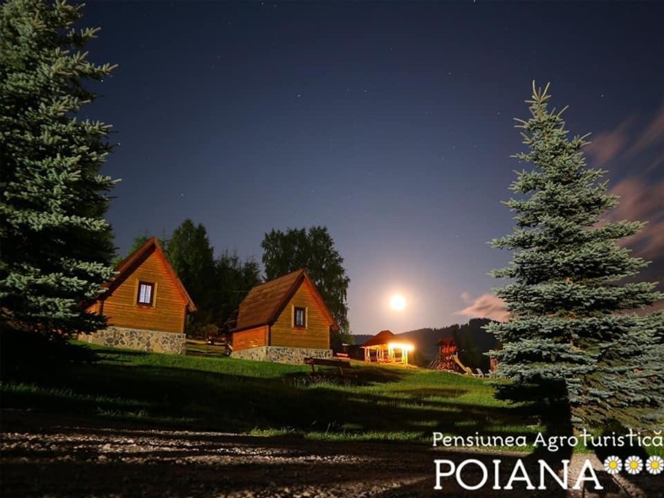 Pensiunea Agroturistica Poiana Пояна Негри Экстерьер фото