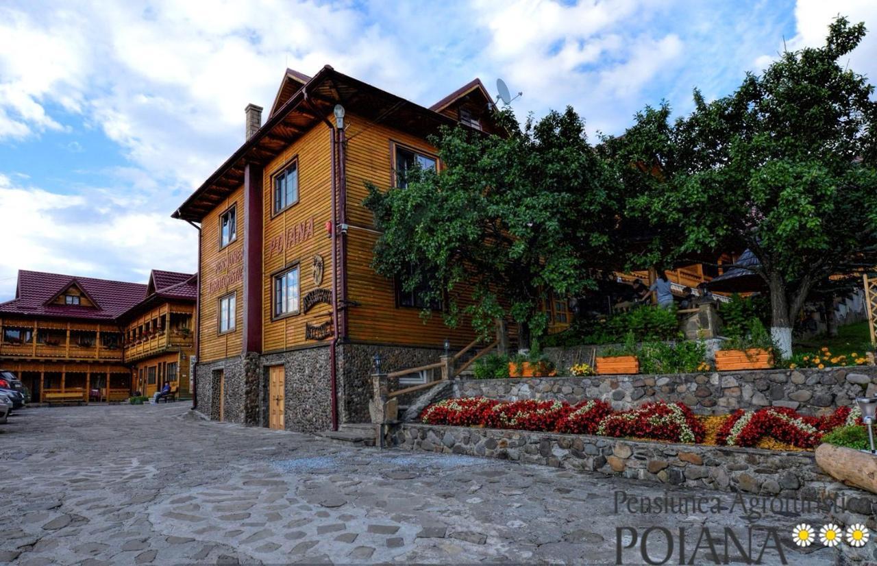 Pensiunea Agroturistica Poiana Пояна Негри Экстерьер фото